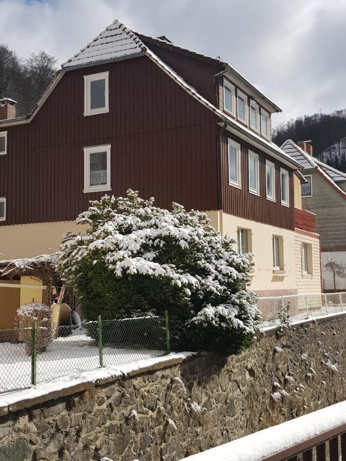 Haus Am Fluss Mit Wunderschoener Dachterrasse Mit Flussblick ,Garten Und Grill Zorge Exterior foto