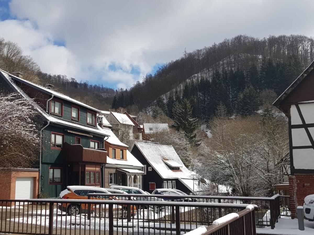 Haus Am Fluss Mit Wunderschoener Dachterrasse Mit Flussblick ,Garten Und Grill Zorge Exterior foto