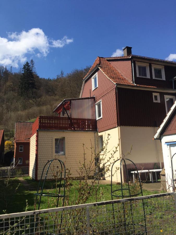 Haus Am Fluss Mit Wunderschoener Dachterrasse Mit Flussblick ,Garten Und Grill Zorge Exterior foto