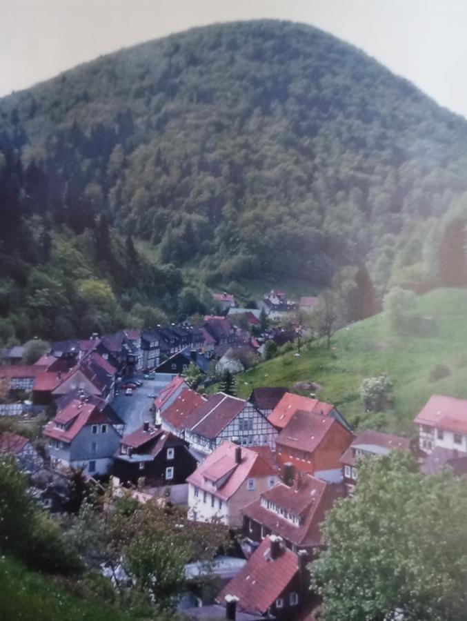Haus Am Fluss Mit Wunderschoener Dachterrasse Mit Flussblick ,Garten Und Grill Zorge Exterior foto